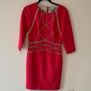 ANTONIO MELANI  Fuchsia and nude beige mesh 3/4 pencil Sleeve Dress 6 NWOT
